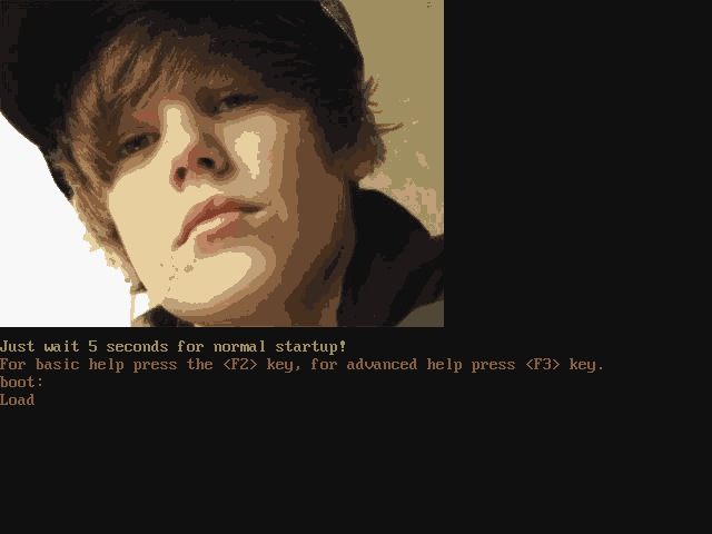 A boot screen with VGA-like text and a low-bit image of young Justin Bieber
on top.