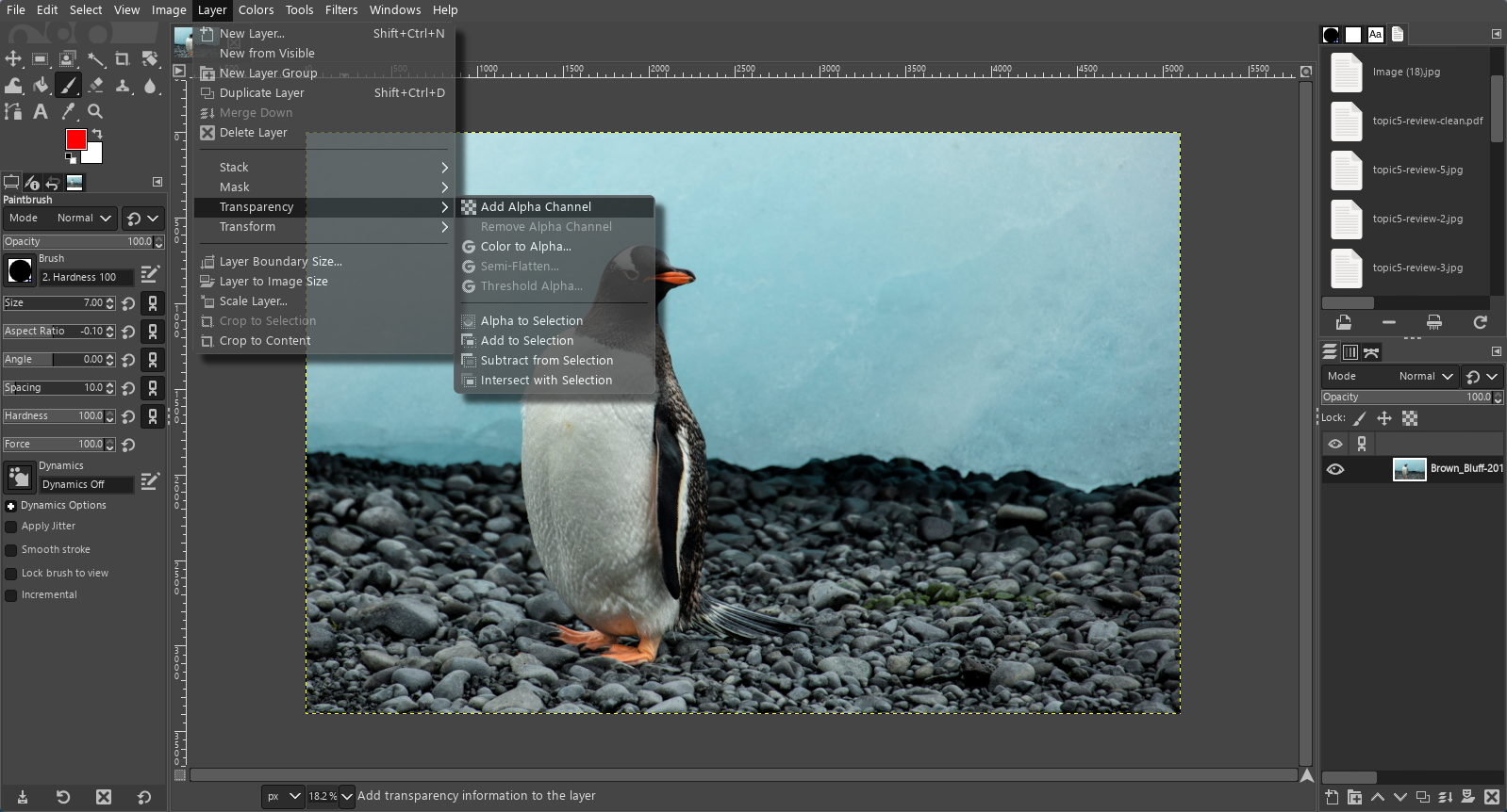 The GIMP editor is open to the penguin. Because this is a JPEG file, it does not come with an alpha (transparency) layer by default, so we must tell GIMP to add one first.